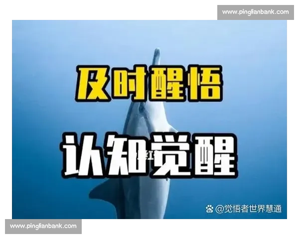 以自我觉醒到持续突破的个人成长路径全景探索方法论与实践指南