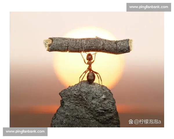 创造非凡奇迹的人生旅程与无限可能探索之道 创造非凡奇迹的人生旅程与无限可能探索之道