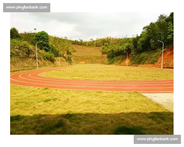 篮球球员比赛中平均跑动距离与体能消耗关系的实证分析